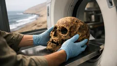 CT scans reveal Chinchorro mummies had smaller average skull volume than people today