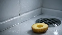 How to get rid of silverfish fast with a simple potato trap